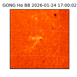 gong - 2026-01-24T17:00:02