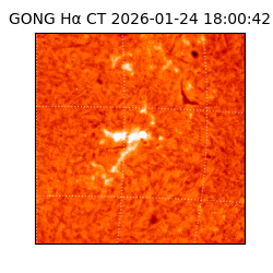 gong - 2026-01-24T18:00:42