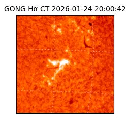 gong - 2026-01-24T20:00:42