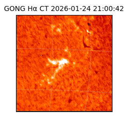gong - 2026-01-24T21:00:42