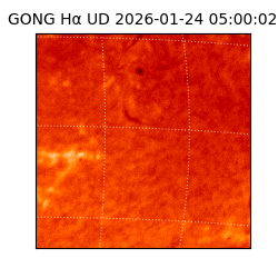 gong - 2026-01-24T05:00:02