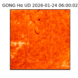 gong - 2026-01-24T06:00:02