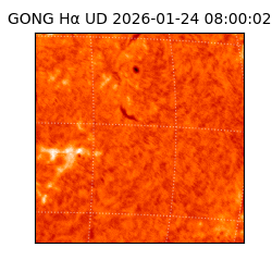 gong - 2026-01-24T08:00:02