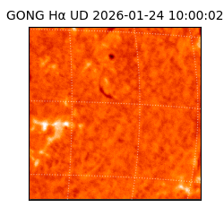 gong - 2026-01-24T10:00:02