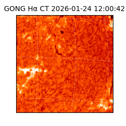 gong - 2026-01-24T12:00:42
