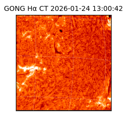 gong - 2026-01-24T13:00:42