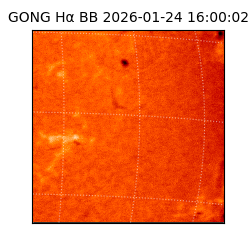 gong - 2026-01-24T16:00:02