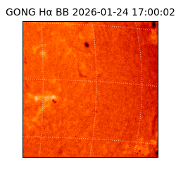 gong - 2026-01-24T17:00:02