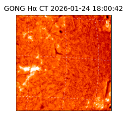 gong - 2026-01-24T18:00:42