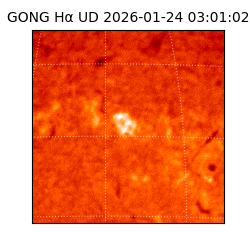 gong - 2026-01-24T03:01:02