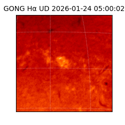 gong - 2026-01-24T05:00:02