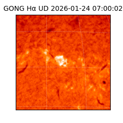 gong - 2026-01-24T07:00:02