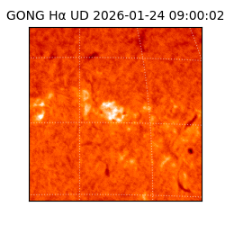 gong - 2026-01-24T09:00:02