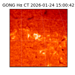 gong - 2026-01-24T15:00:42