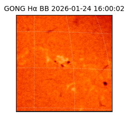 gong - 2026-01-24T16:00:02