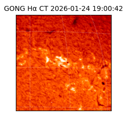 gong - 2026-01-24T19:00:42