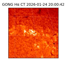 gong - 2026-01-24T20:00:42