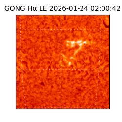gong - 2026-01-24T02:00:42