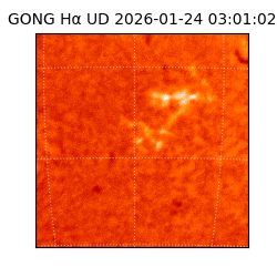 gong - 2026-01-24T03:01:02