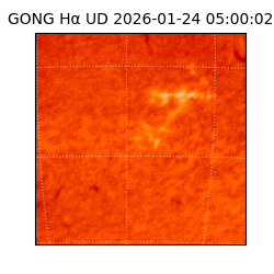 gong - 2026-01-24T05:00:02