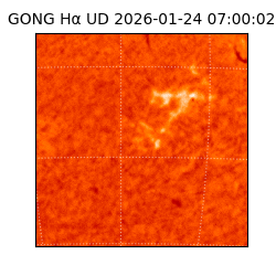 gong - 2026-01-24T07:00:02