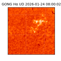 gong - 2026-01-24T08:00:02