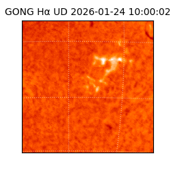 gong - 2026-01-24T10:00:02