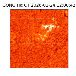 gong - 2026-01-24T12:00:42