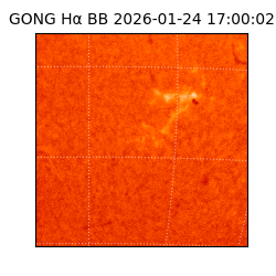 gong - 2026-01-24T17:00:02