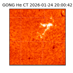 gong - 2026-01-24T20:00:42