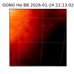 gong - 2026-01-24T22:13:02