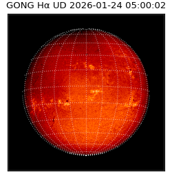 gong - 2026-01-24T05:00:02
