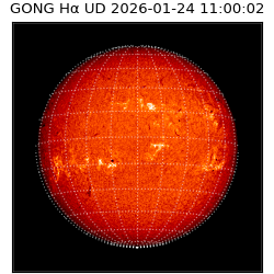 gong - 2026-01-24T11:00:02