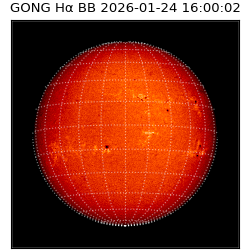 gong - 2026-01-24T16:00:02