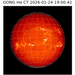 gong - 2026-01-24T19:00:42