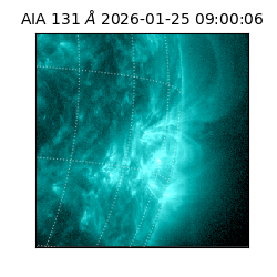 saia - 2026-01-25T09:00:06.622000
