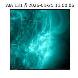 saia - 2026-01-25T11:00:06.622000