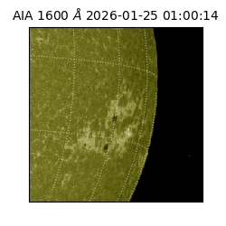 saia - 2026-01-25T01:00:14.126000