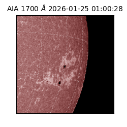 saia - 2026-01-25T01:00:28.717000