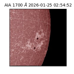 saia - 2026-01-25T02:54:52.718000