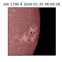 saia - 2026-01-25T09:00:28.717000