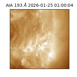saia - 2026-01-25T01:00:04.843000