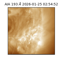saia - 2026-01-25T02:54:52.843000