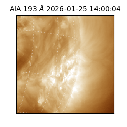 saia - 2026-01-25T14:00:04.846000