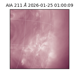 saia - 2026-01-25T01:00:09.626000