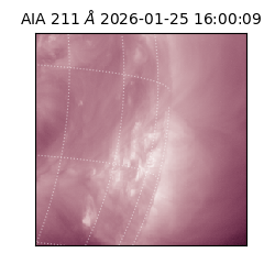 saia - 2026-01-25T16:00:09.630000
