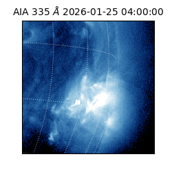 saia - 2026-01-25T04:00:00.625000