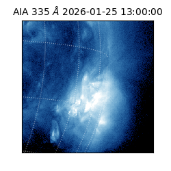 saia - 2026-01-25T13:00:00.639000