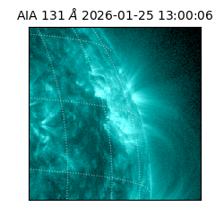 saia - 2026-01-25T13:00:06.623000