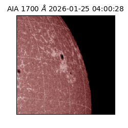saia - 2026-01-25T04:00:28.721000